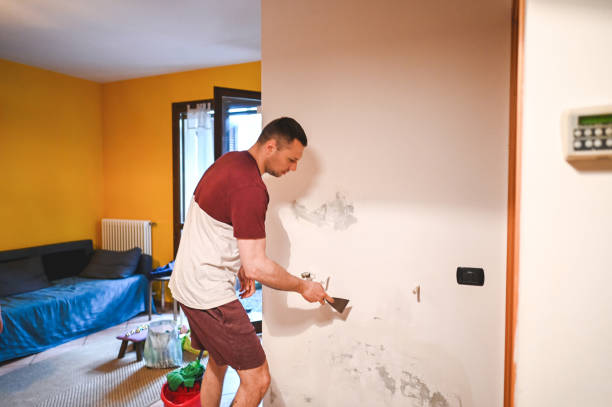 Certified Mold Removal in Fountain Green, UT